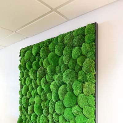 Moss Walls